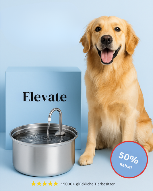 Elevate